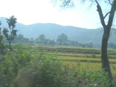 The road back to Ranchi