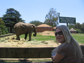 Beautiful landscape of South Africa, at Magoebaskloo